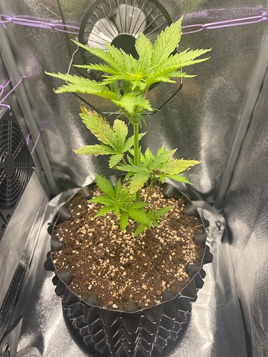 Growreport Bild 8