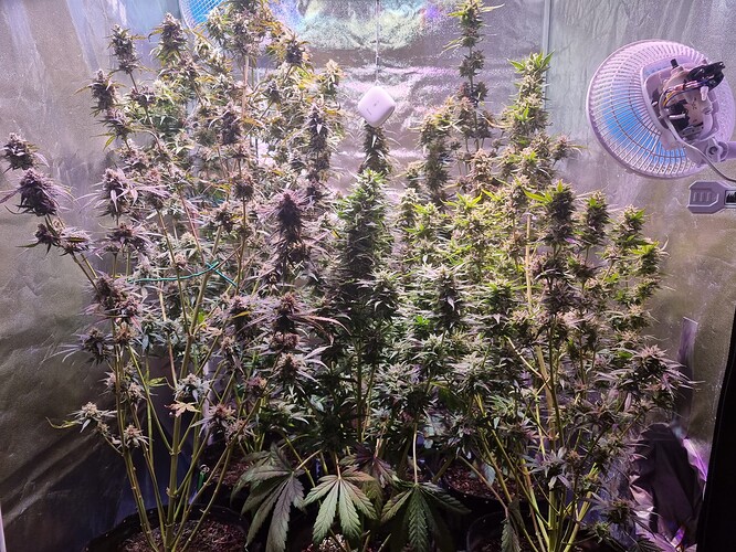 Growreport Bild 11