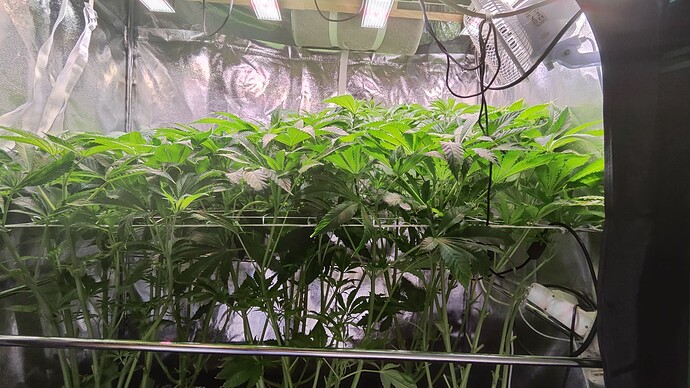 Growreport Bild 11