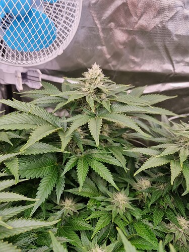 Growreport Bild 17