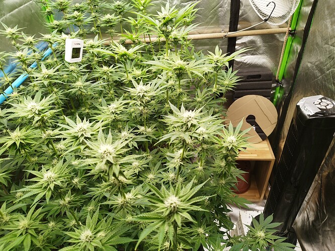 Growreport Bild 3