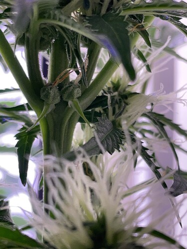 Growreport Bild 11
