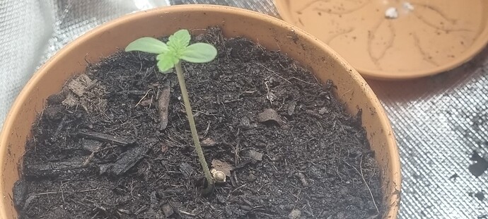 Growreport Bild 12