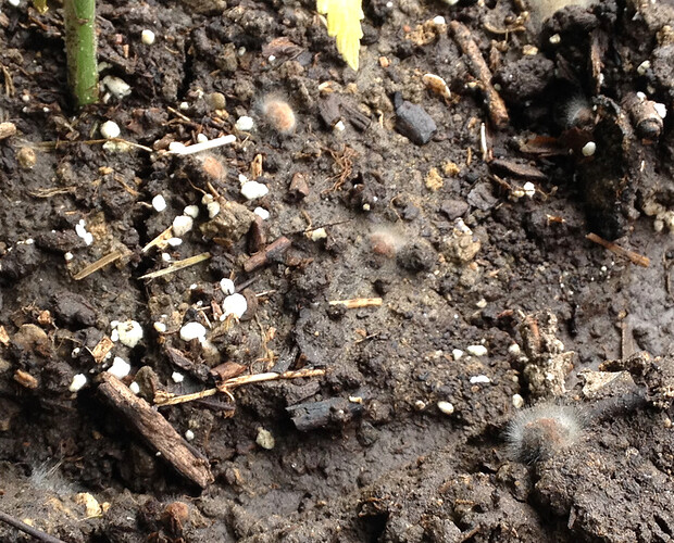 Growreport Bild 21
