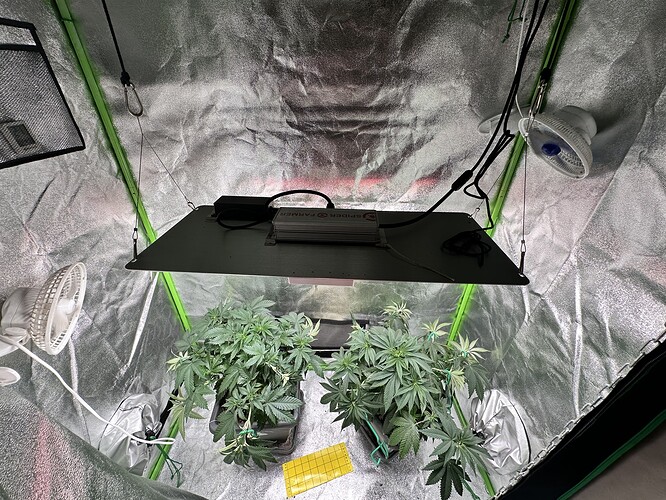 Growreport Bild 4