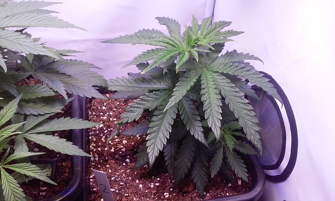 Growreport Bild 23