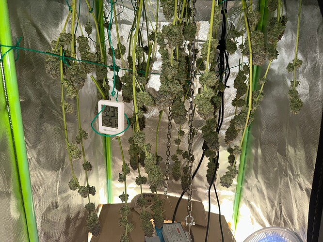 Growreport Bild 7