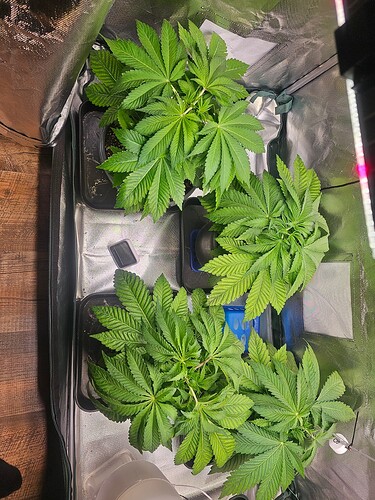 Growreport Bild 12