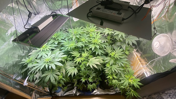 Growreport Bild 6