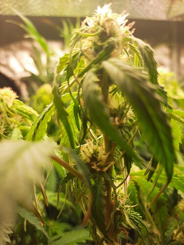 Growreport Bild 7