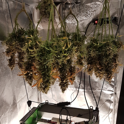 Growreport Bild 22