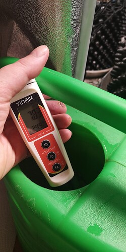 Growreport Bild 16