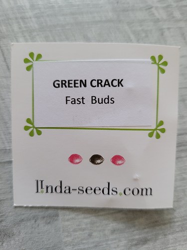 Growreport Bild 6