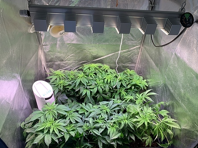 Growreport Bild 21