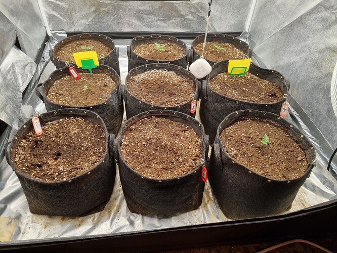 Growreport Bild 21