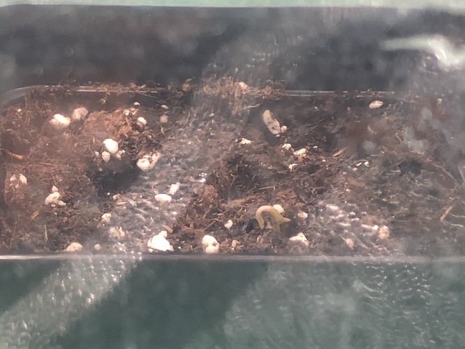 Growreport Bild 14