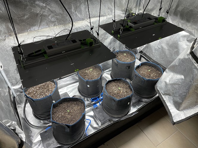 20210928_153420539_iOS