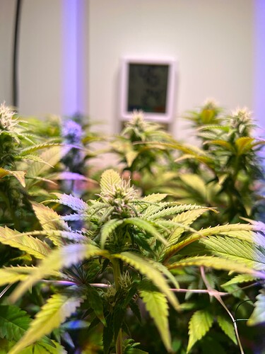 Growreport Bild 10