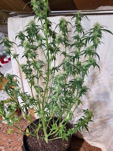 Growreport Bild 18
