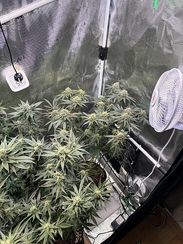 Growreport Bild 7