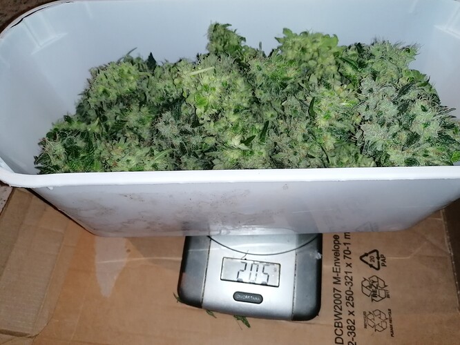 Growreport Bild 16