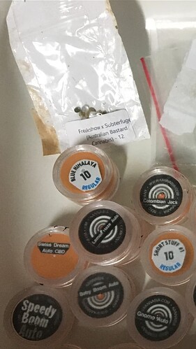 Growreport Bild 6