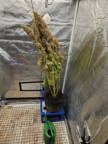 Growreport Bild 2