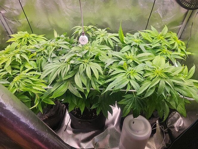 Growreport Bild 7
