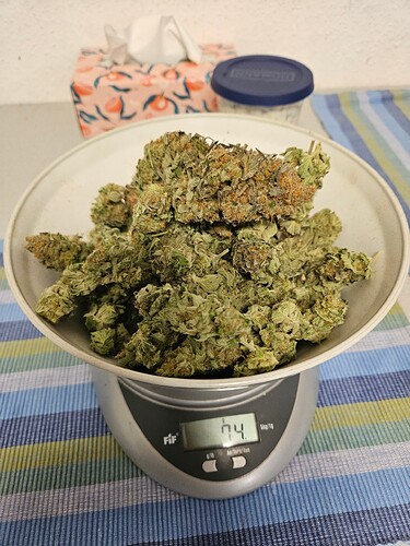 Growreport Bild 6