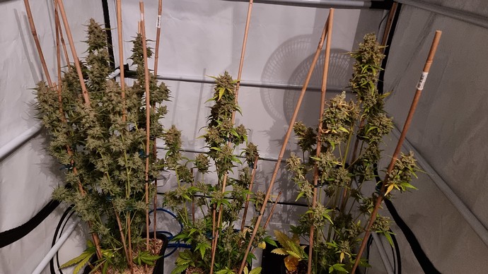 Growreport Bild 11