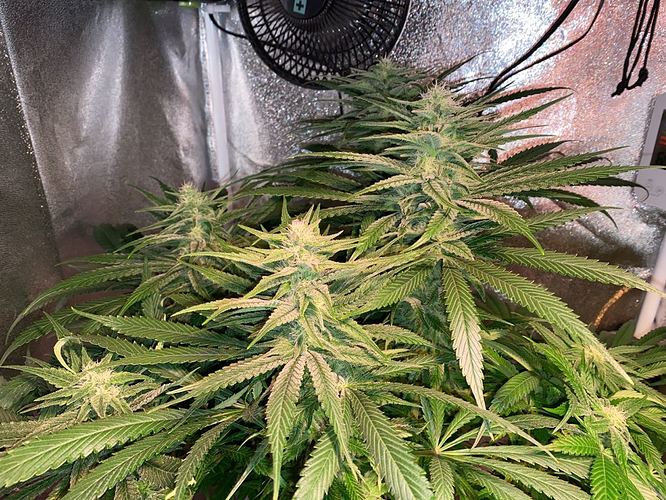 Growreport Bild 24