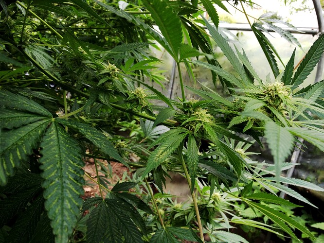 Growreport Bild 10