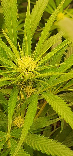 Growreport Bild 14