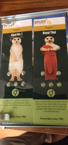 15893808325792501225388808586971