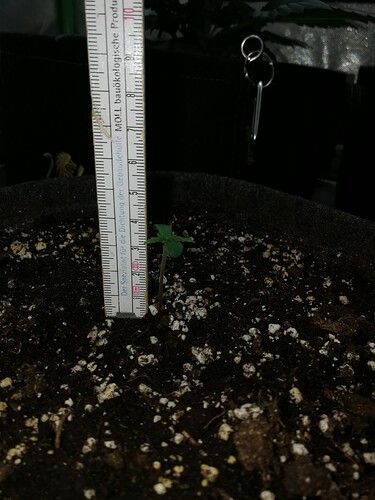 Growreport Bild 101