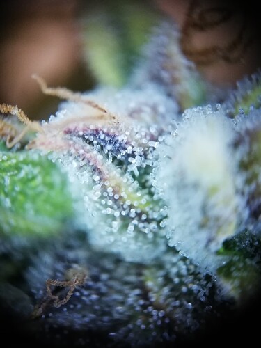 GG#1_240112-4