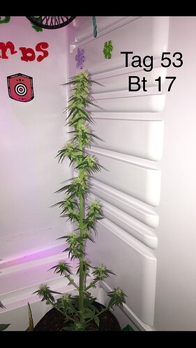Growreport Bild 17