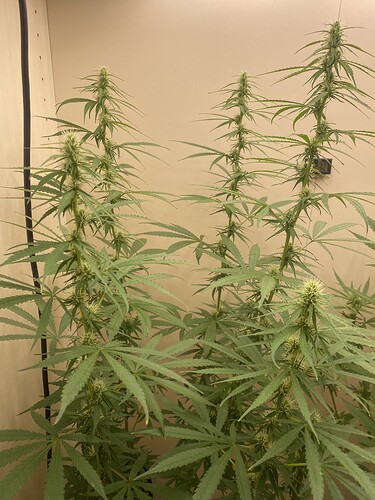 Growreport Bild 10