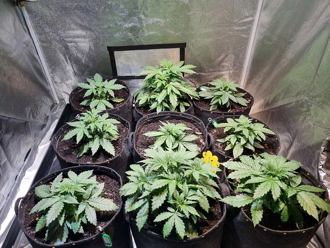 Growreport Bild 12