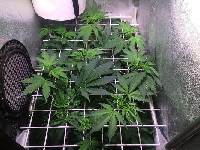 Growreport Bild 9
