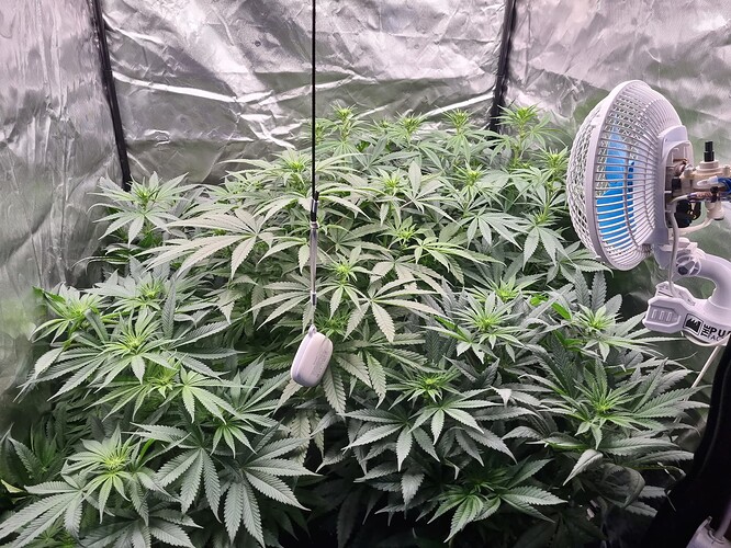 Growreport Bild 6