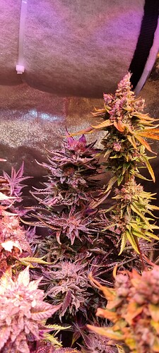 Growreport Bild 11