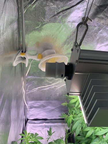 Growreport Bild 7