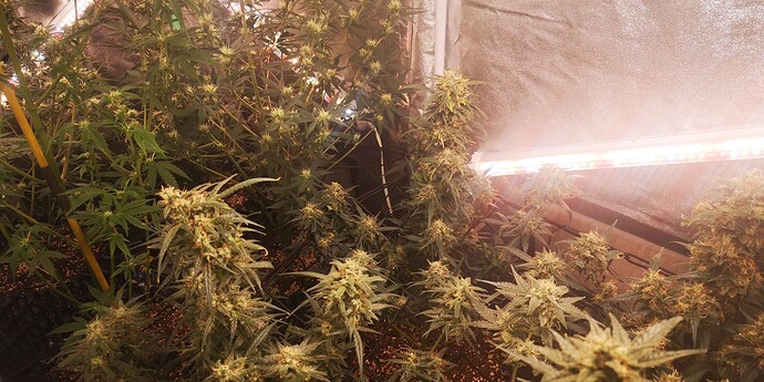 Growreport Bild 18