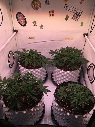 Growreport Bild 6