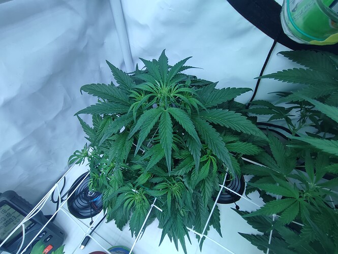 Growreport Bild 20