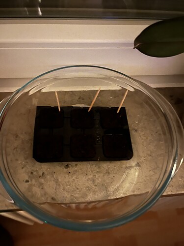 Growreport Bild 47