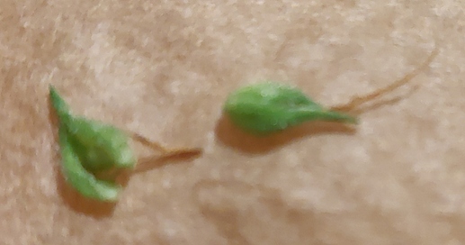 Growreport Bild 18