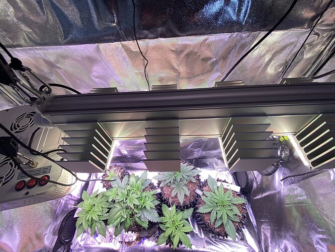Growreport Bild 3
