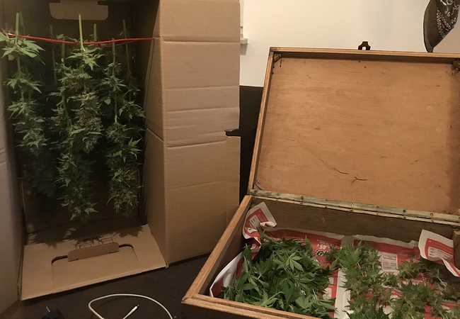 Growreport Bild 12